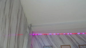 madelen_b