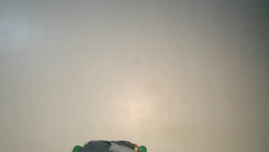 wet_pussyy24