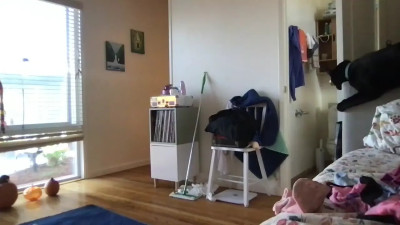 Watch HYPHYtype recorded live streams from Stripchat on 2025/10/20, Cam Archive