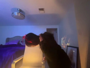 Watch geld_88 recorded live streams from Stripchat on 2025/10/30, Cam Archive