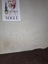 Watch HelenHoltz recorded live streams from Stripchat on 2025/11/04, Cam Archive